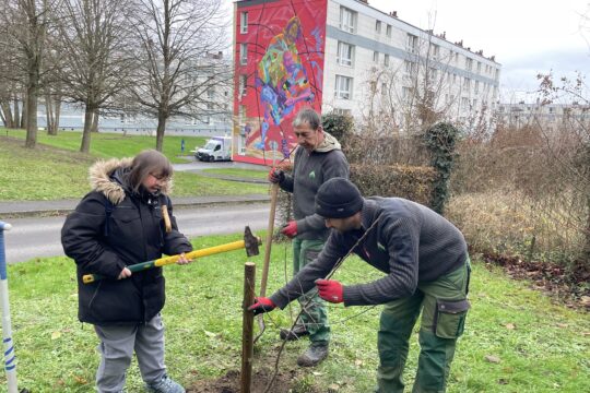 100 pommiers OPAL® pour fêter nos 100 ans